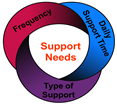 SIS Support Needs